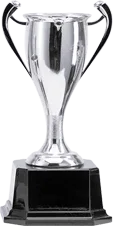 OUR AWARDS - FIFA世界杯