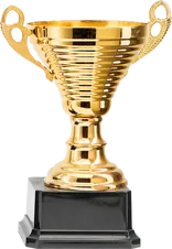OUR AWARDS - FIFA世界杯